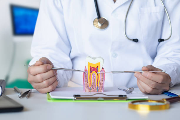 Best Emergency Dentist for Knocked-Out Tooth in Reedspt, OR